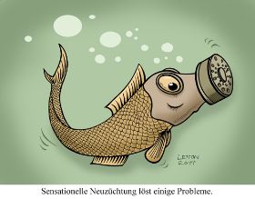 Fischzucht1.jpg